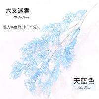 XU0610433